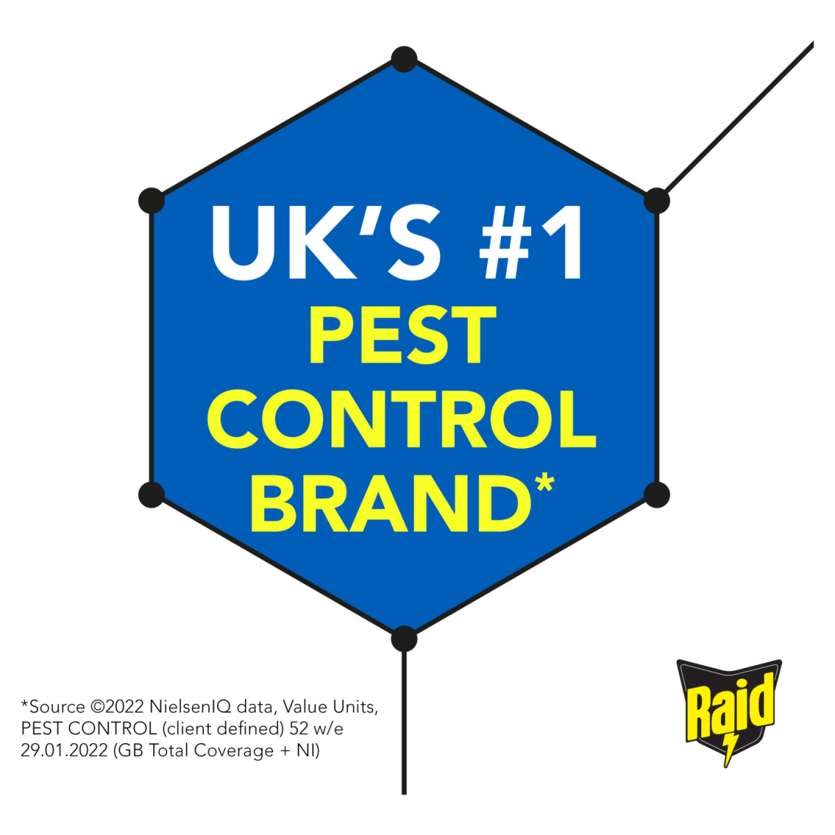 Raid Ant Killer Powder