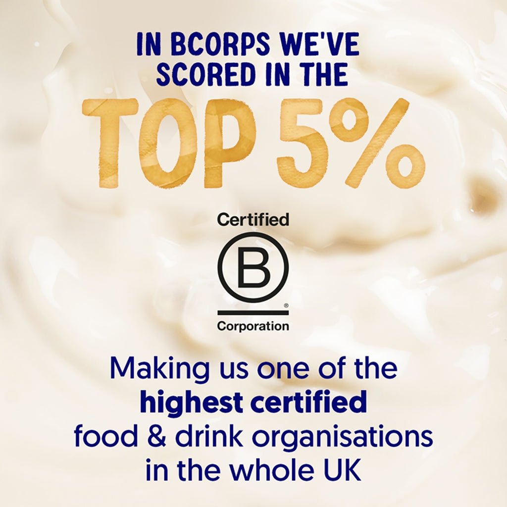 Alpro Smooth Subtle Creamy Oat 500ml - UK Food & Drink - 5411188140061