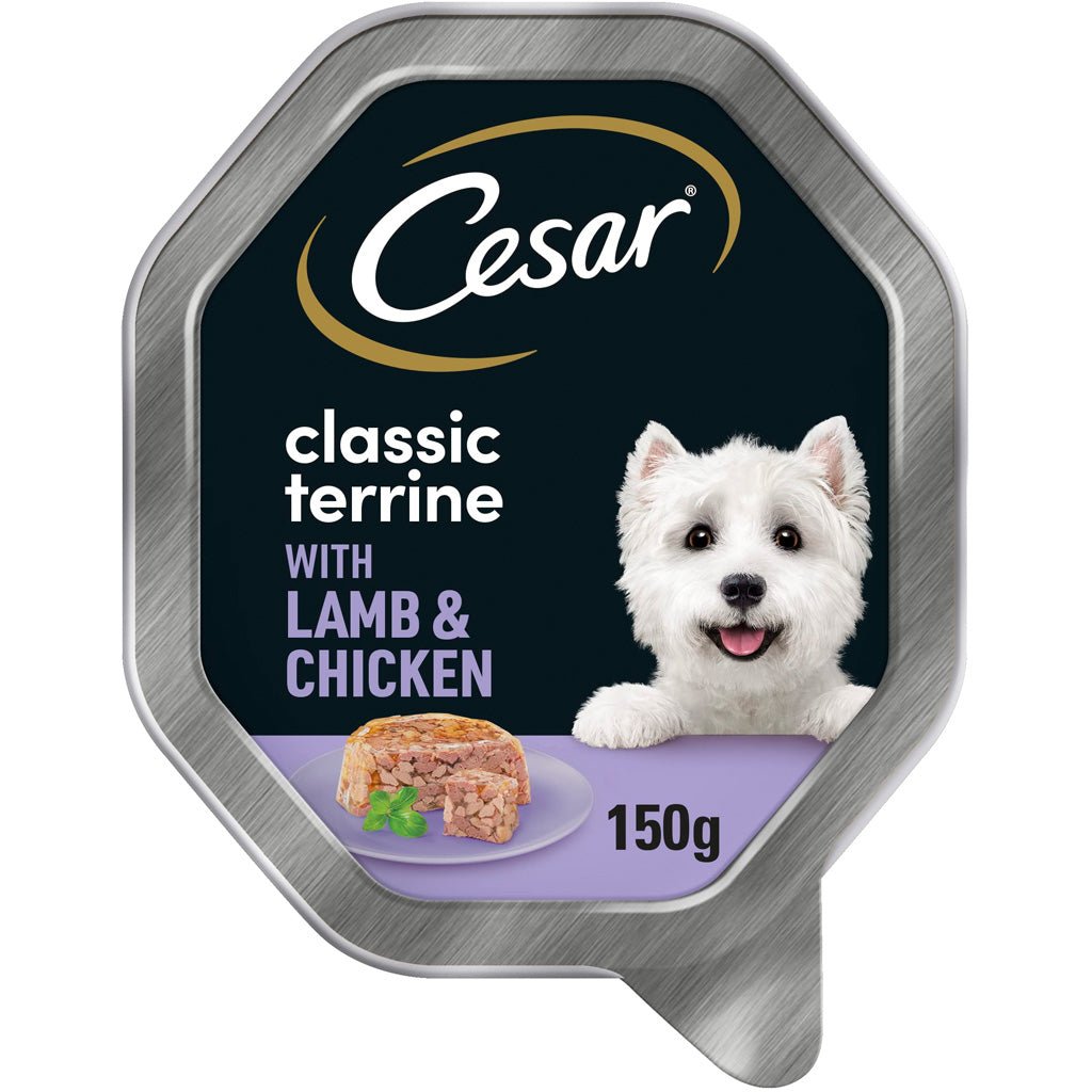 Cesar Classics Terrine Dog Food Tray Lamb & Chicken in Jelly 150g - UK Food & Drink - 4008429138133