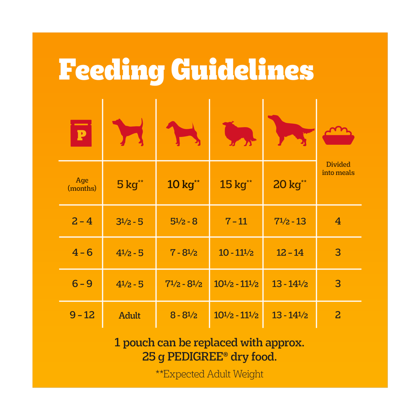 PEDIGREE® Junior Puppy Wet Dog Food Mixed Selection In Jelly 12x100g Pouch - UK Food & Drink - 3065890123915