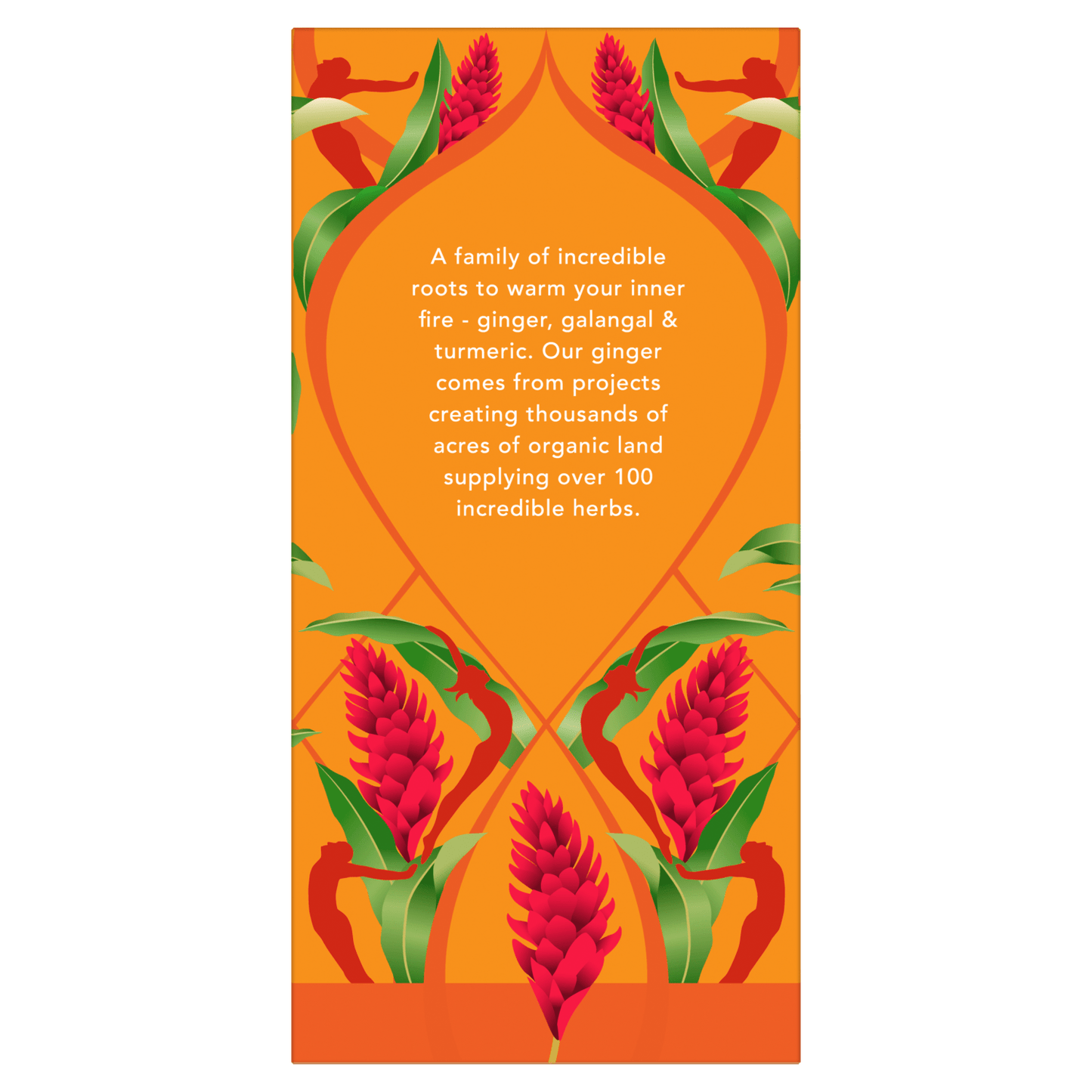 Pukka 20 Organic Three Ginger Herbal Tea Sachet 36g - UK Food & Drink - 5065000523145