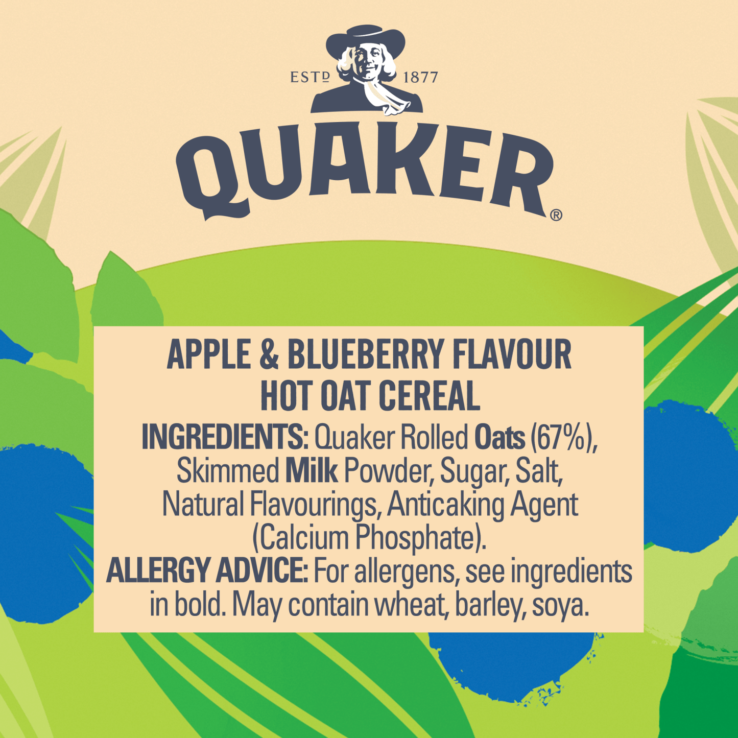 Quaker Oat So Simple Apple & Blueberry Porridge Pot 57g - UK Food & Drink - 5000108575443