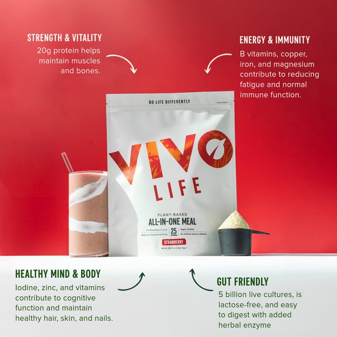 Vivo Life All - In - One Meal Caramel - UK Food & Drink - 5060572521728