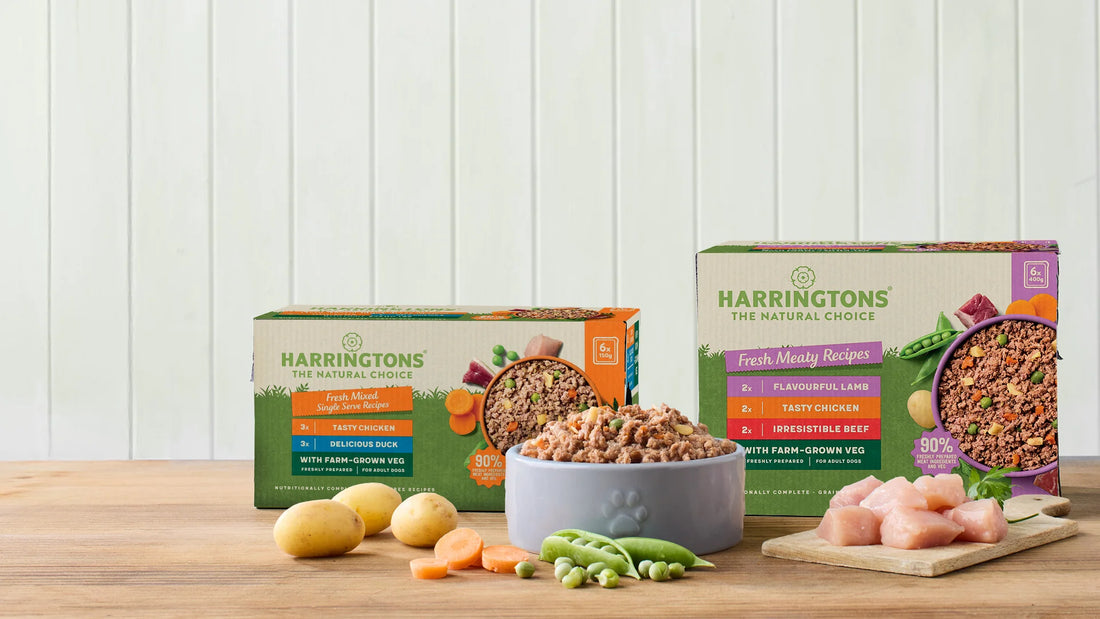 Wholesale Pet Food Options: Intamarque Now Offers Harringtons and Wagg Brands