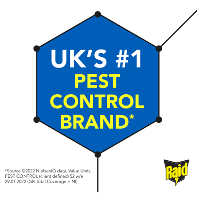 Raid Ant Killer Powder