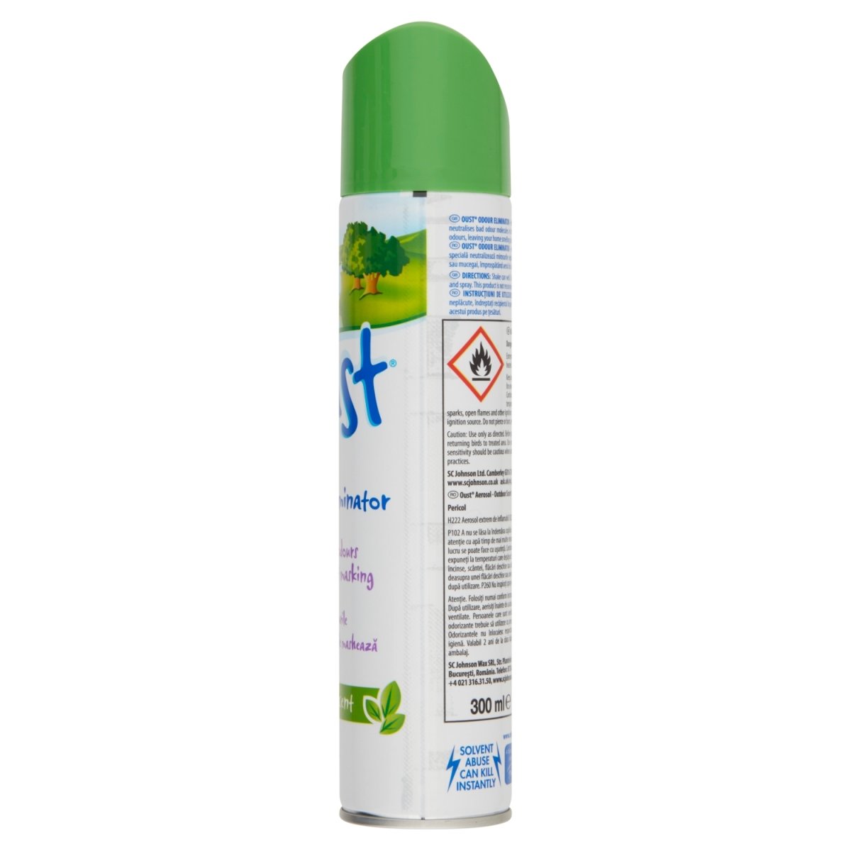 Oust Aerosol 300ml Outdoor Scent