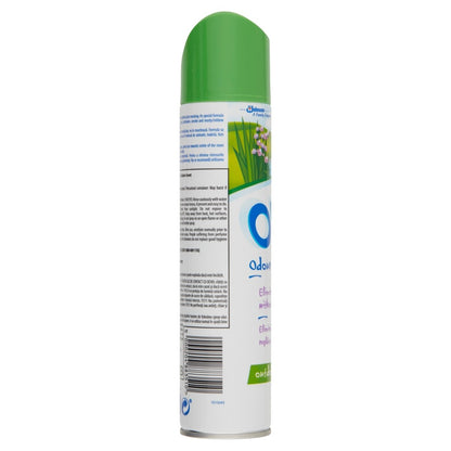 Oust Aerosol 300ml Outdoor Scent