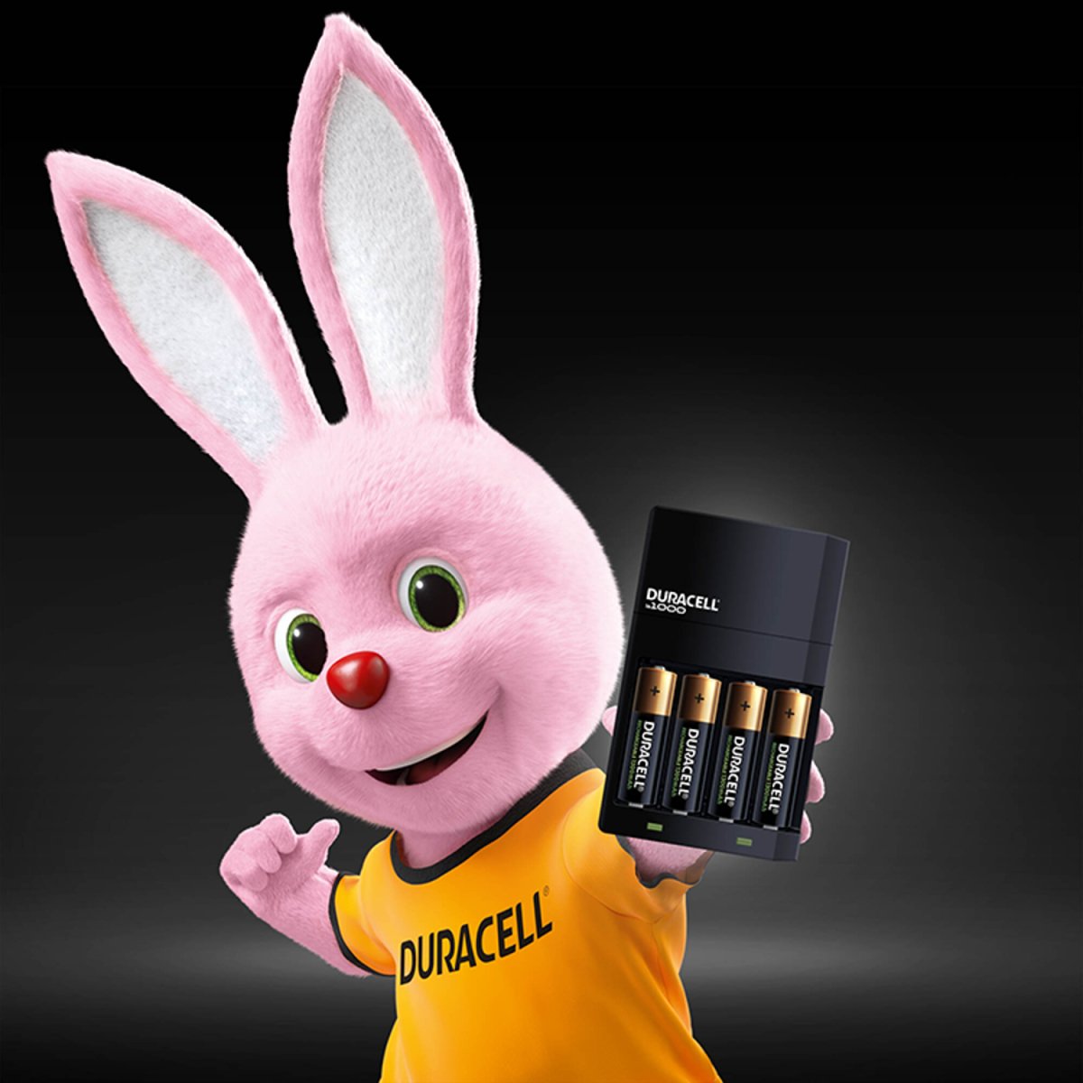 Duracell 4 Hour Value Charger