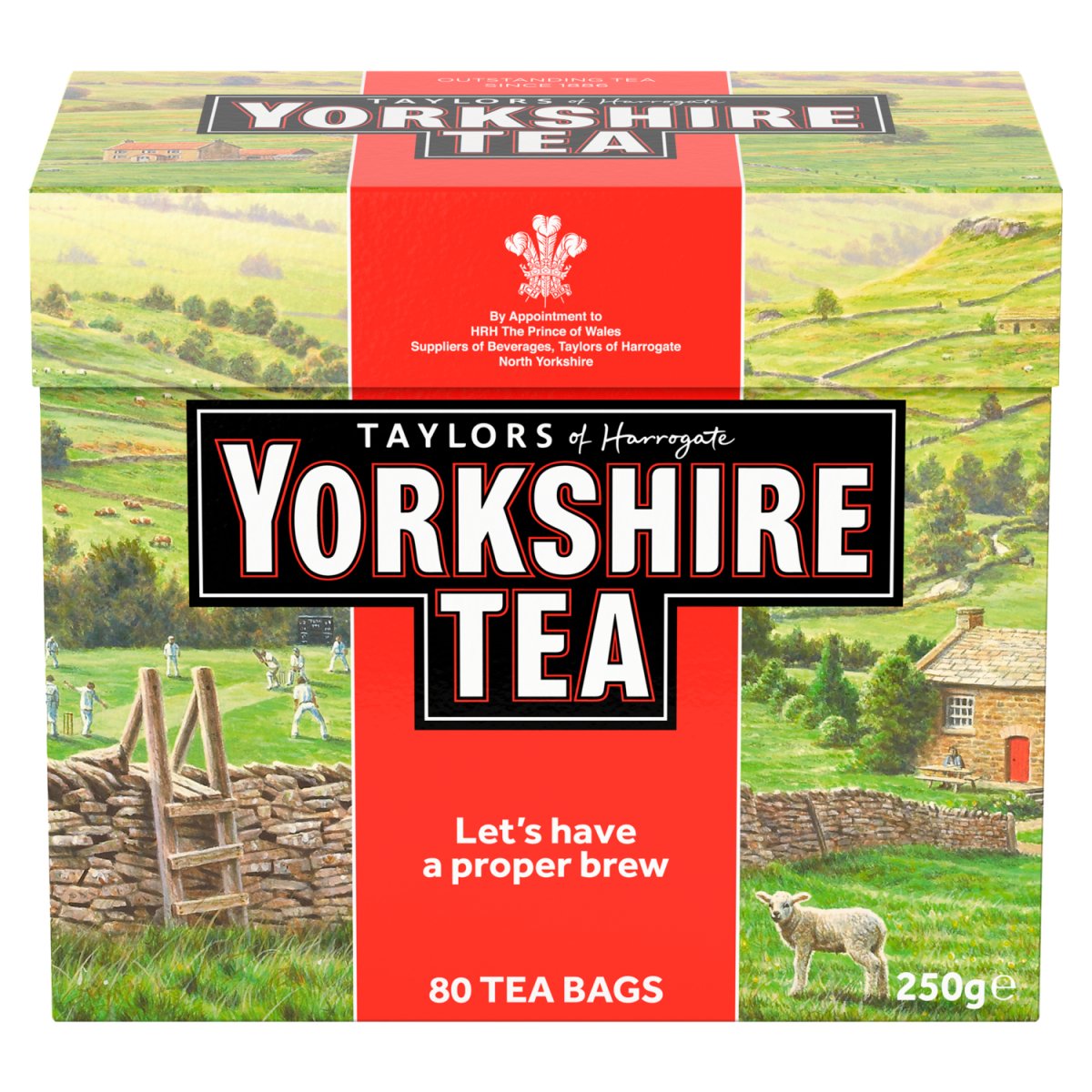 Buy Taylors Yorkshire Teabags online at Intamarque Wholesale – Trusted FMCG distributor