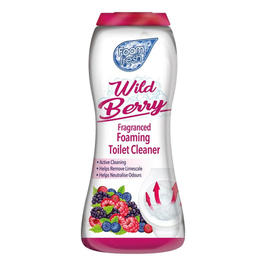 Duzzit Foam Fresh Toilet Cleaner 370G Wild Berry