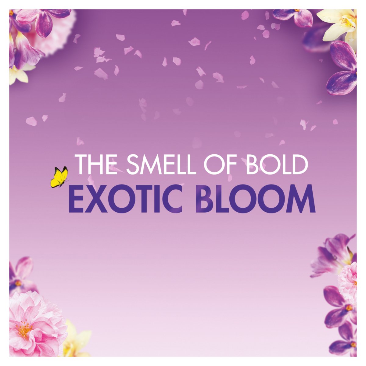 Bold All in 1 Pods Exotic Bloom 28 Washes - Intamarque - Wholesale 8006540918562