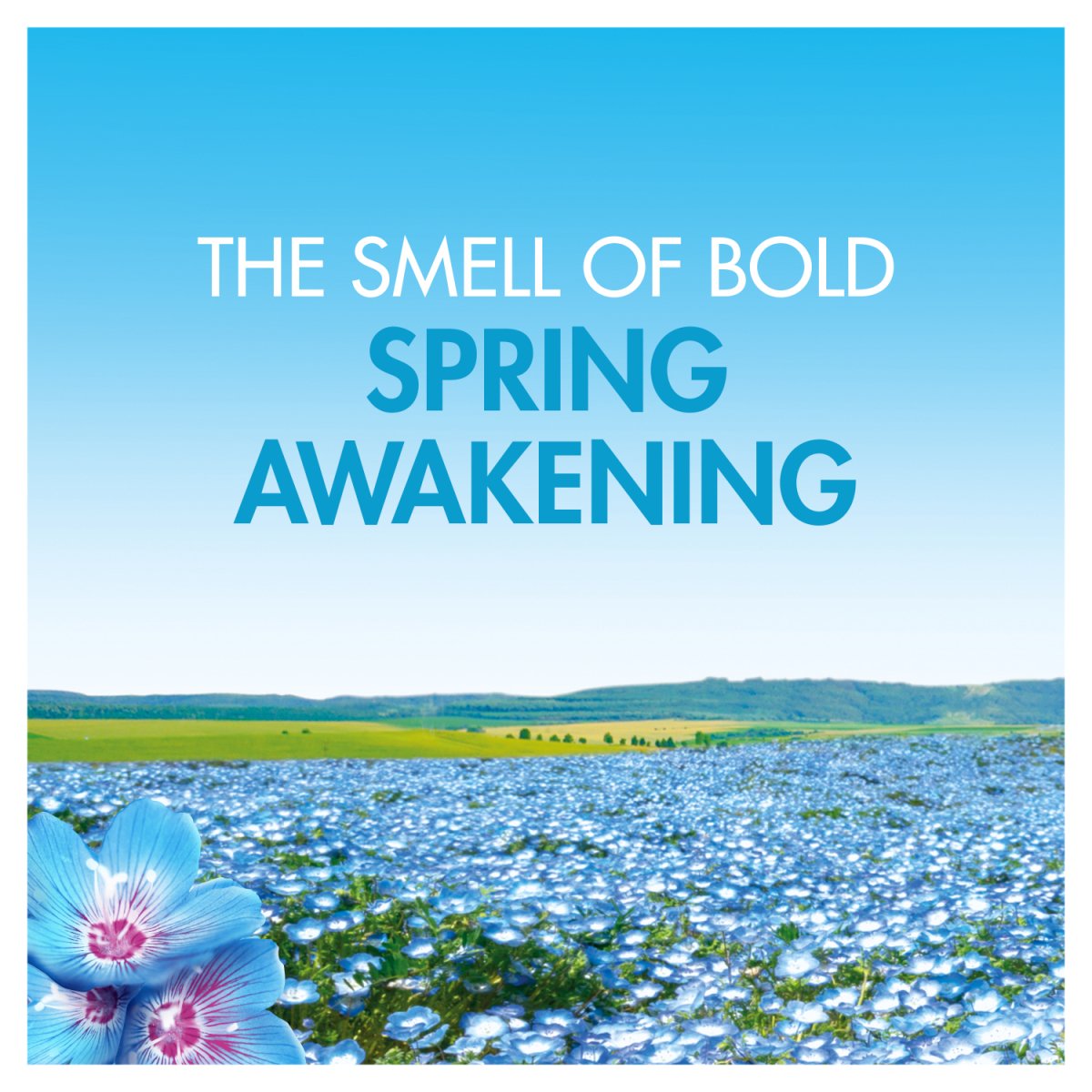 Bold All - In - 1 Pods Washing Liquid Capsules Spring Awakening 33 Washes - Intamarque - Wholesale 8006540918692