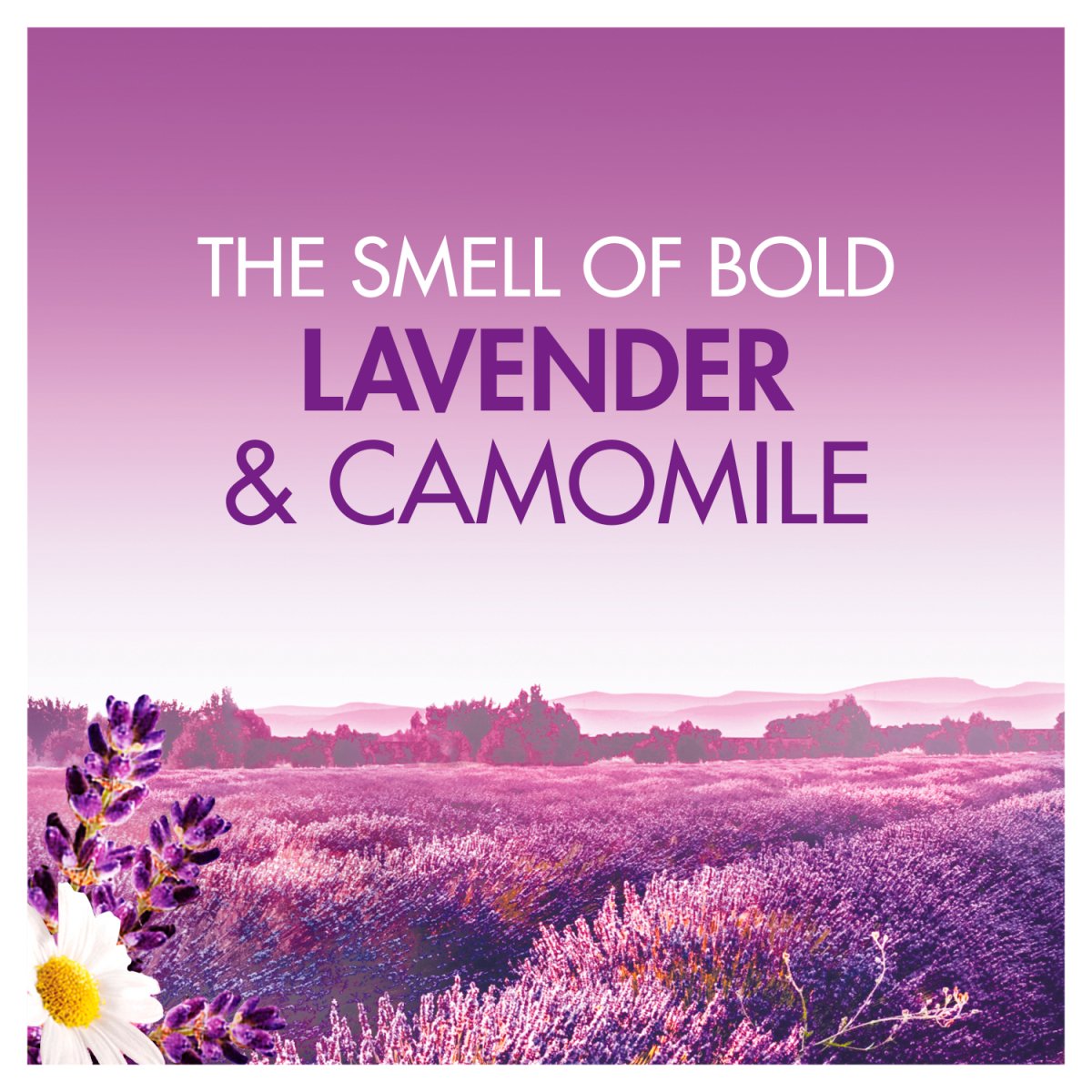 Bold All-in-1 Pods Lavender and Camomile 51 Washes