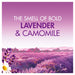 Bold All - in - 1 Pods Lavender and Camomile 51 Washes - Intamarque - Wholesale 8006540918821