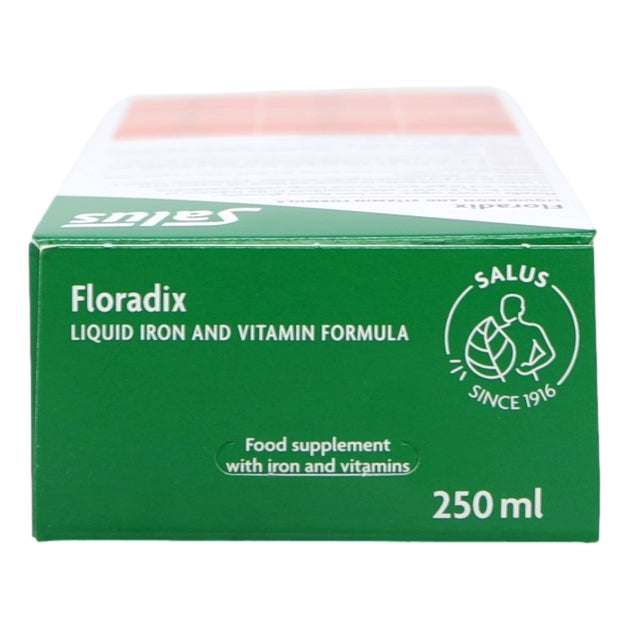 Floradix Liquid 250ml Iron