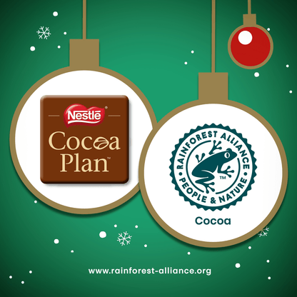 After Eight Delightfully Minty Dark Chocolate Thins 300g - UK Food & Drink - 5000426171518