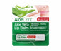 Aloe Dent Aloe Vera Lip Balm - UK Food & Drink - 5029354001162