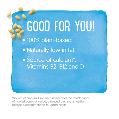 Alpro Custard Vanilla Flavour 525g - UK Food & Drink - 5411188128977