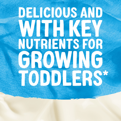 Alpro Soya Drink 1l - UK Food & Drink - 5411188091660