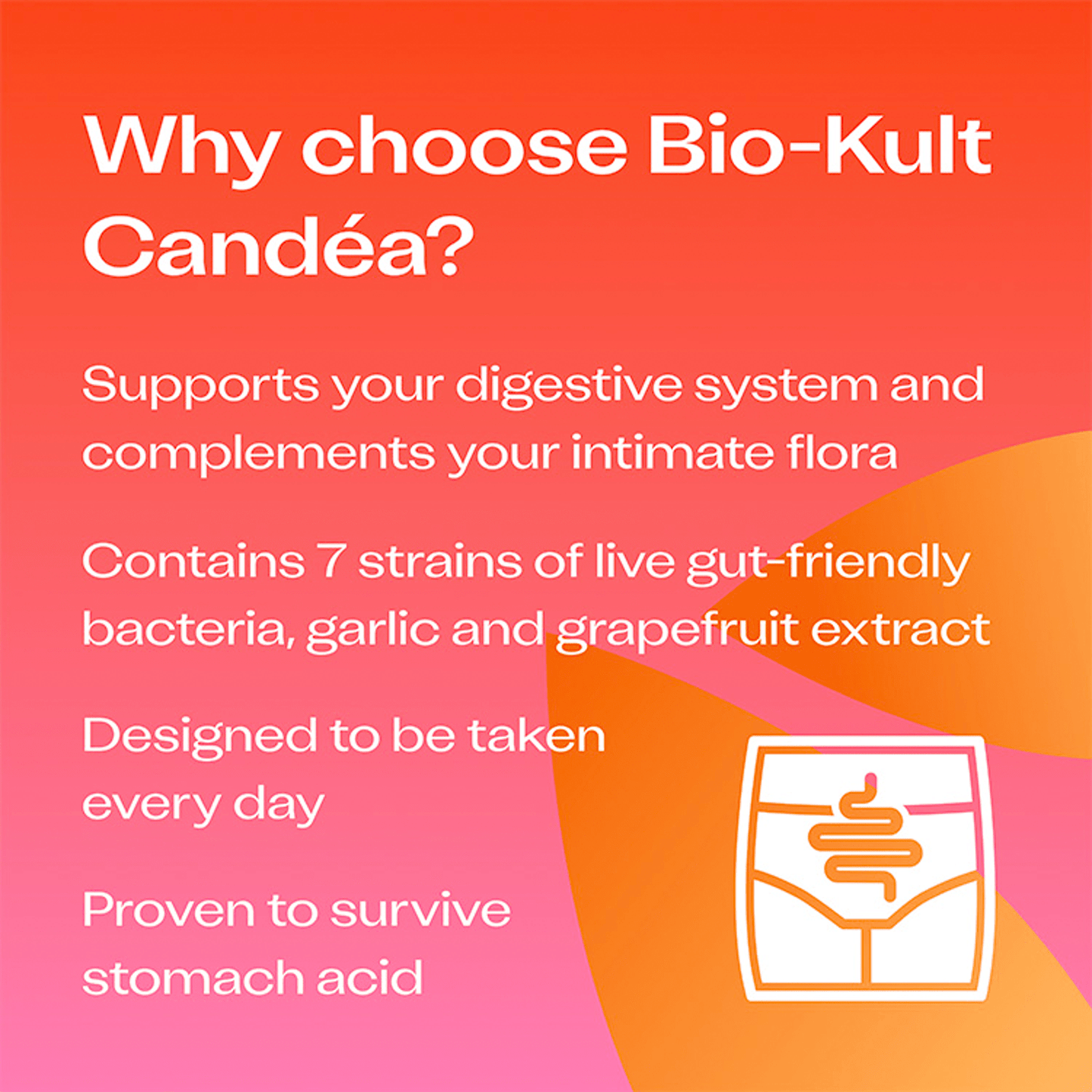 Bio - Kult Candea 60 Capsules - UK Food & Drink - 5027314502568