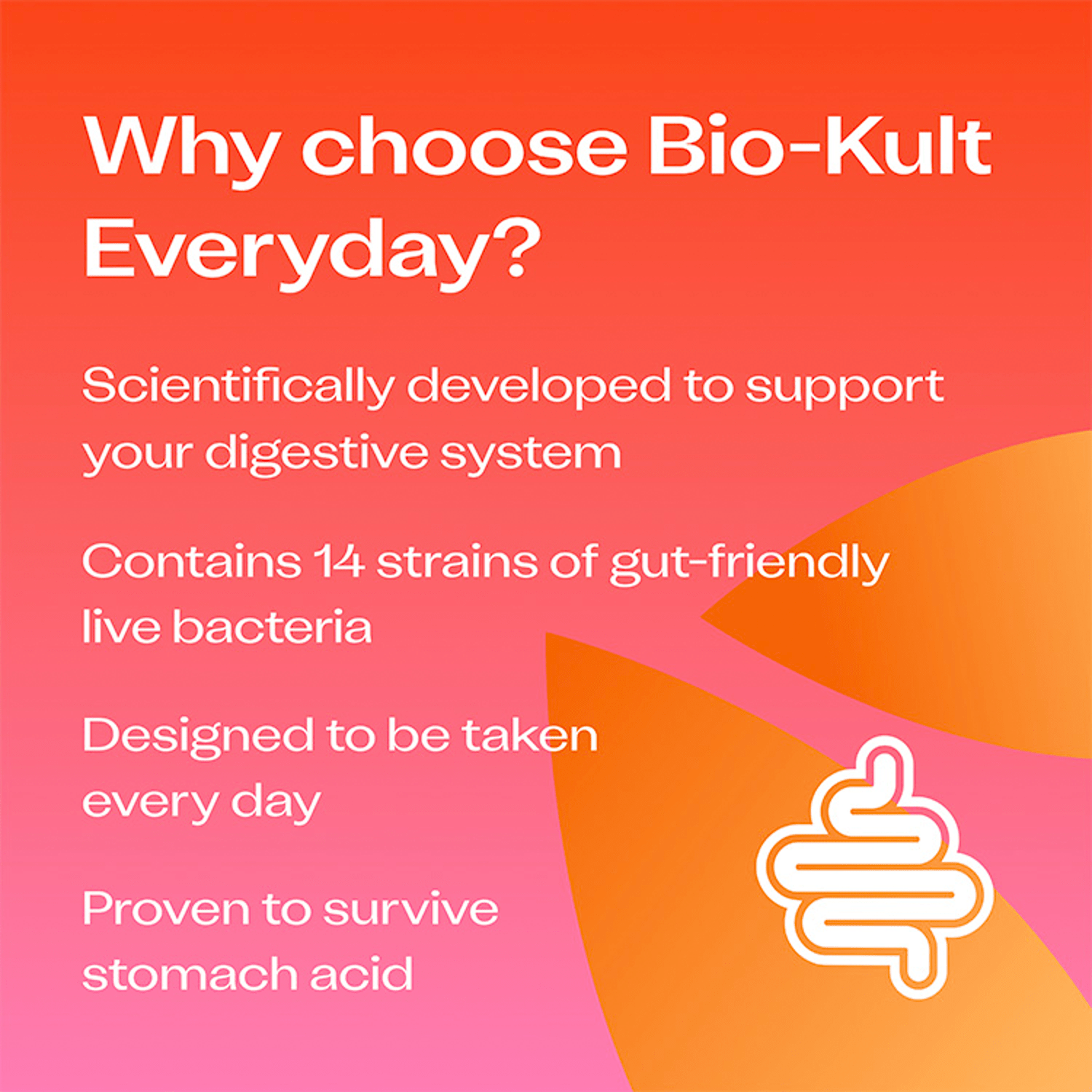 Bio - Kult Everyday 30 Capsules - UK Food & Drink - 5027314502537