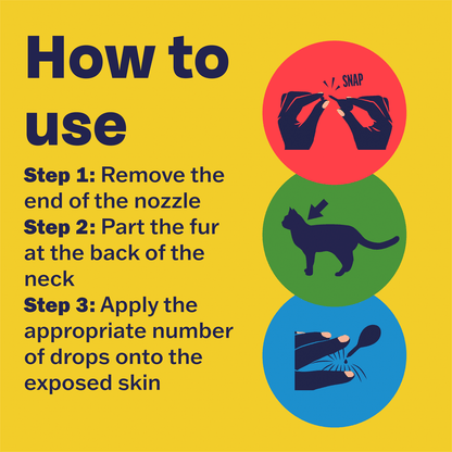 Bob Martin Wormer Spot - On Solution for Cats & Kittens Praziquantel 20mg 2 x 0.5ml - UK Food & Drink - 5011914202744