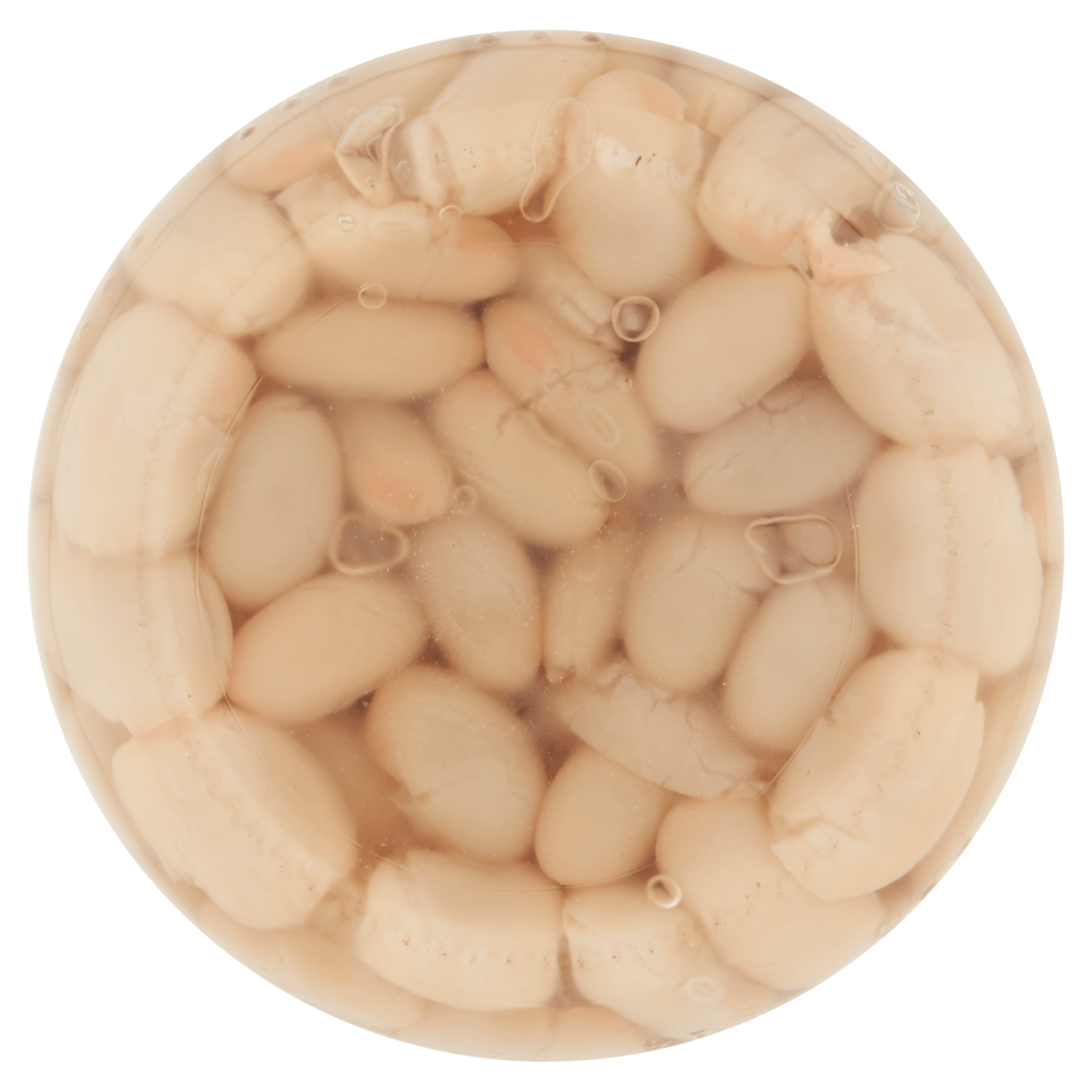 Bold Bean Co Organic White Beans 570g - UK Food & Drink - 5060940940168