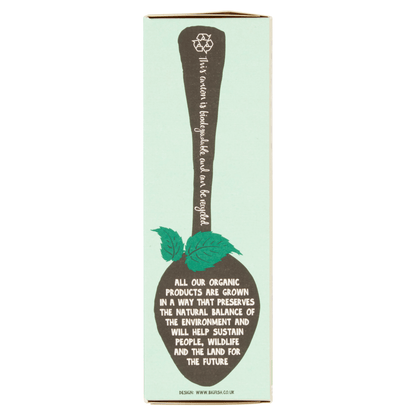 Clipper Organic Peppermint 20 Unbleached Bags 30g - UK Food & Drink - 5021991200014