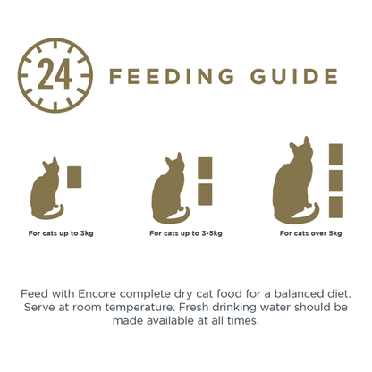 Encore Cat Food Tuna with Prawn Pouch 70g - UK Food & Drink - 5060333436766