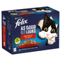 Felix As Good As It Looks Adult Cat Food Meaty Selection in Jelly 12 x 100g - UK Food & Drink - 7613034958846