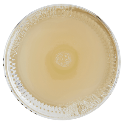 Fentimans Classic Victorian Lemonade 750ml - UK Food & Drink - 5029396003001