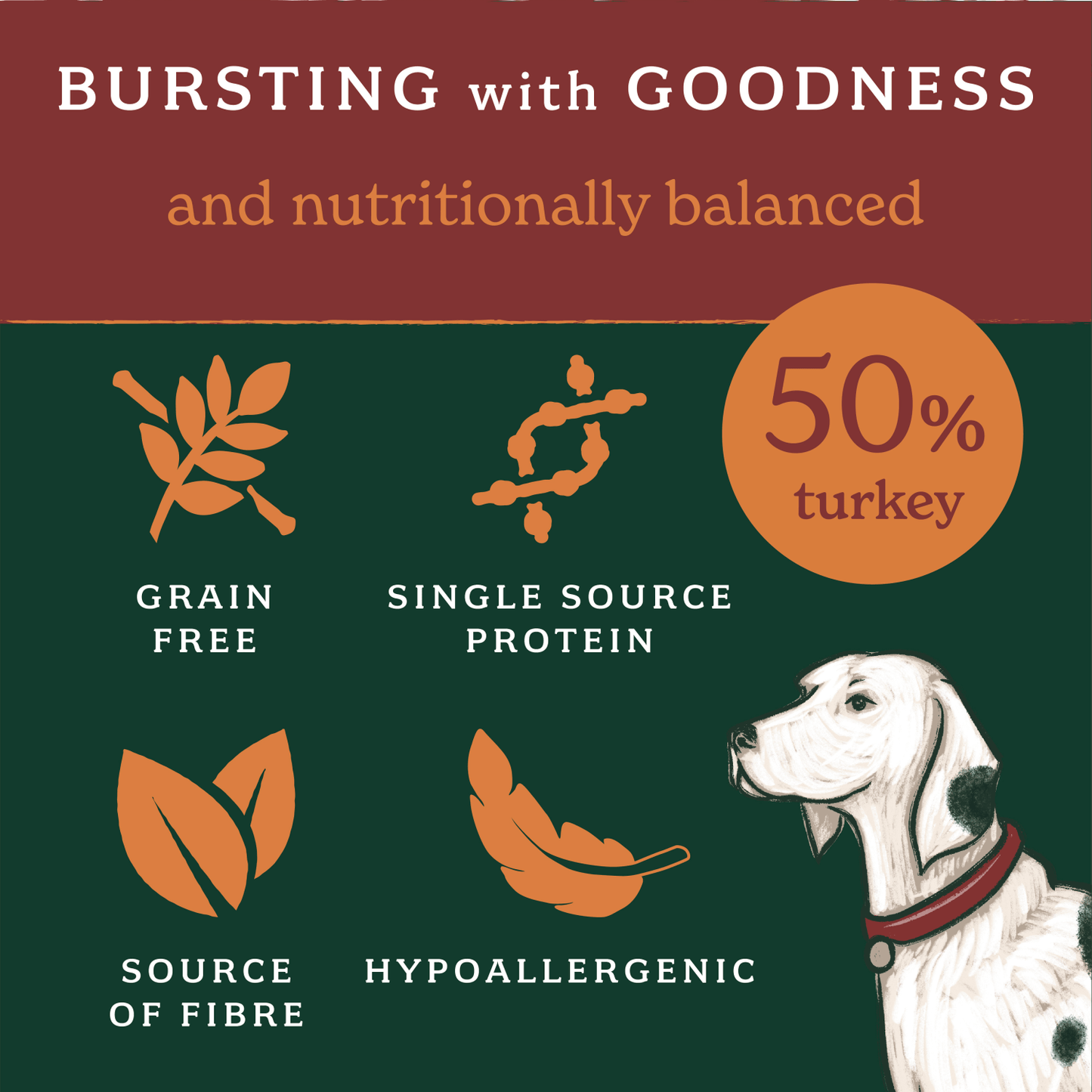 Forthglade Lightly Baked Natural Dry Dog Food Turkey Adult Dogs One Year+ 2kg - UK Food & Drink - 5023833007539