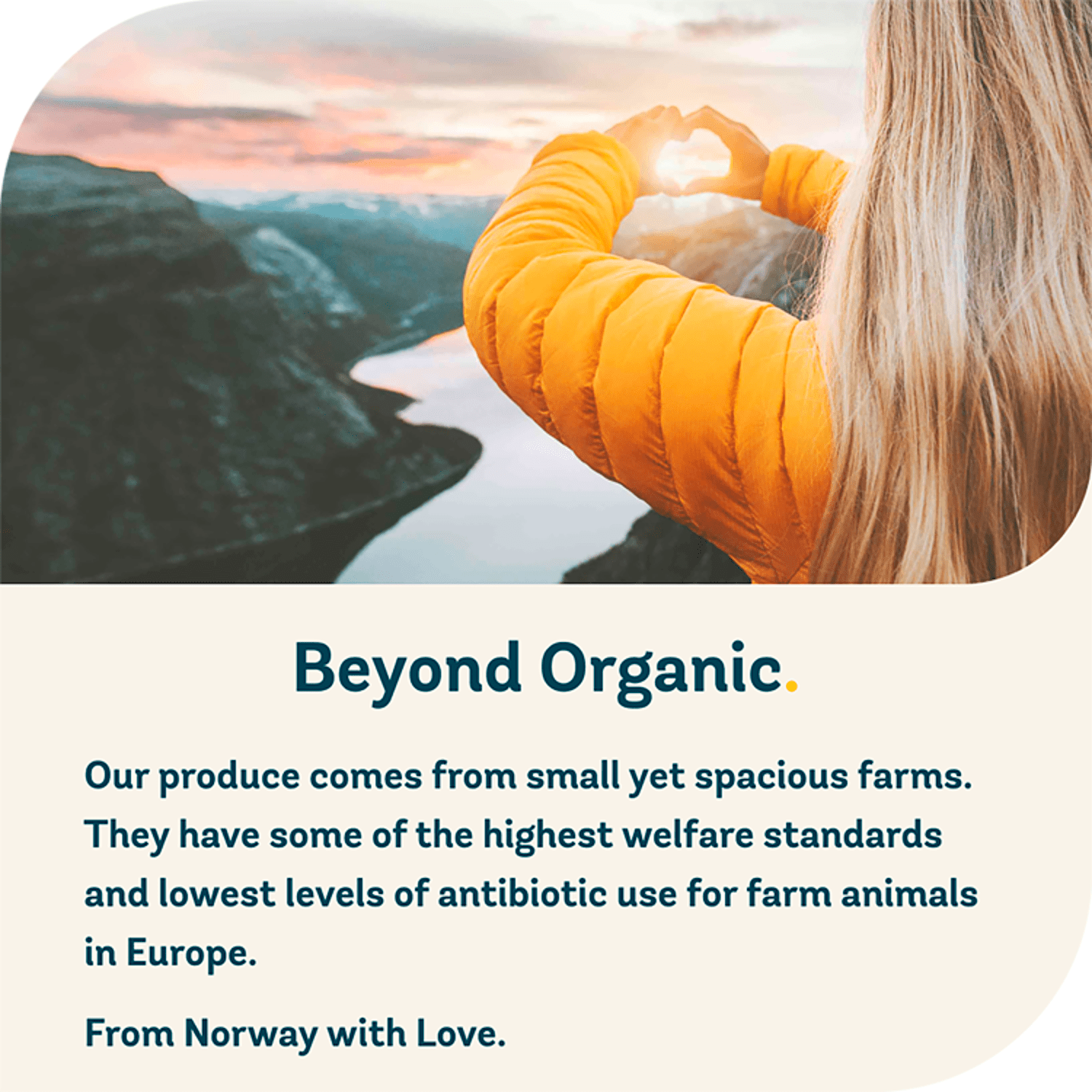 Freja Beef Bone Broth 500ml - UK Food & Drink - 5070000140117