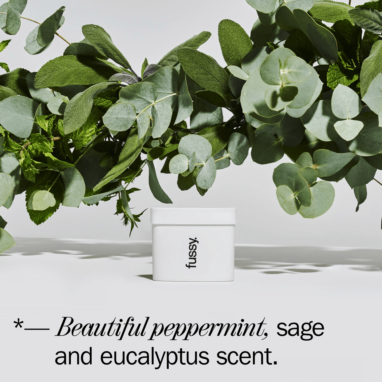 Fussy Refillable Deodorant Wavy Days - UK Food & Drink - 5065010483019