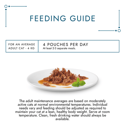 Gourmet Perle Connoisseur's Collection Mini Fillets in Gravy 12 x 85g - UK Food & Drink - 7613035985964