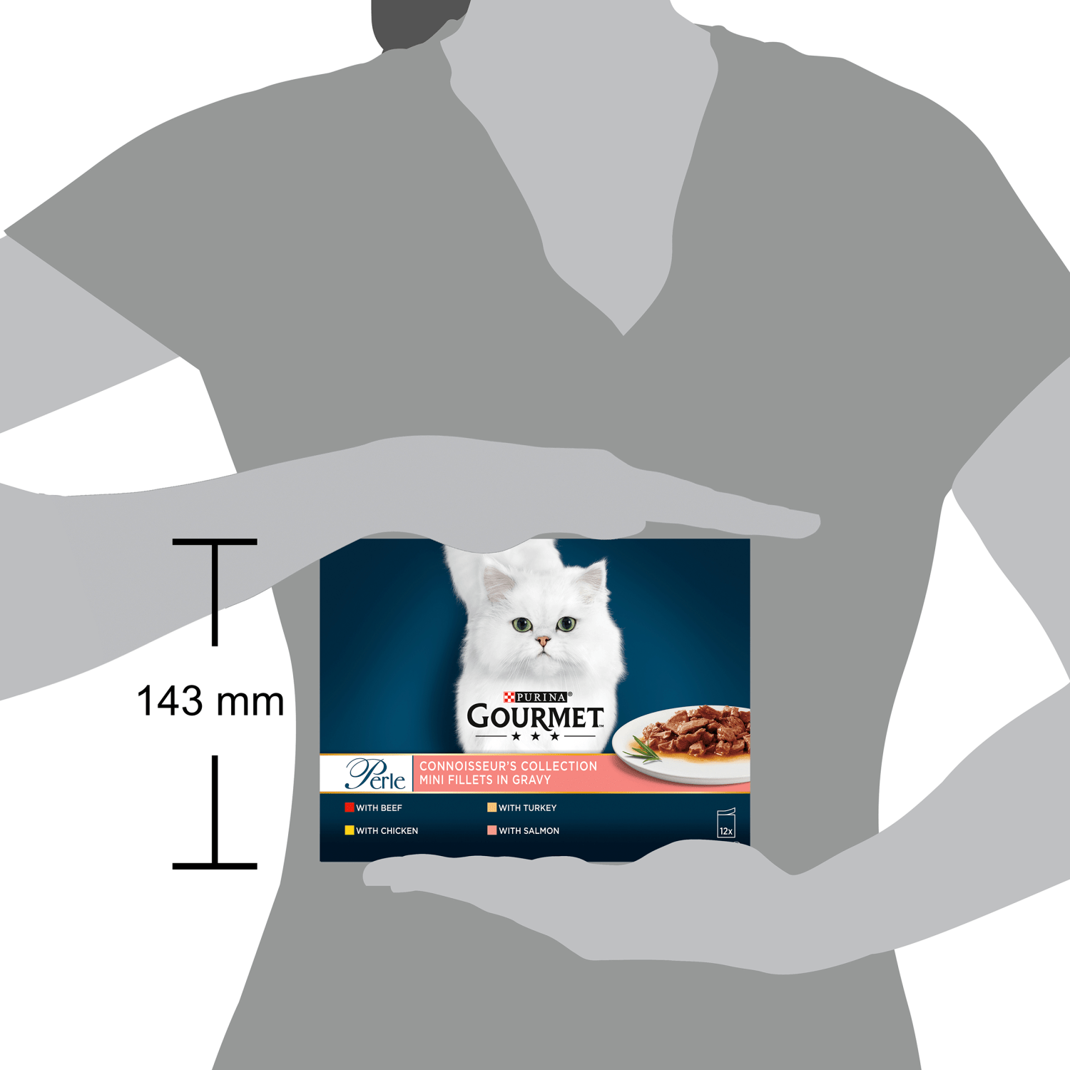 Gourmet Perle Connoisseur's Collection Mini Fillets in Gravy 12 x 85g - UK Food & Drink - 7613035985964