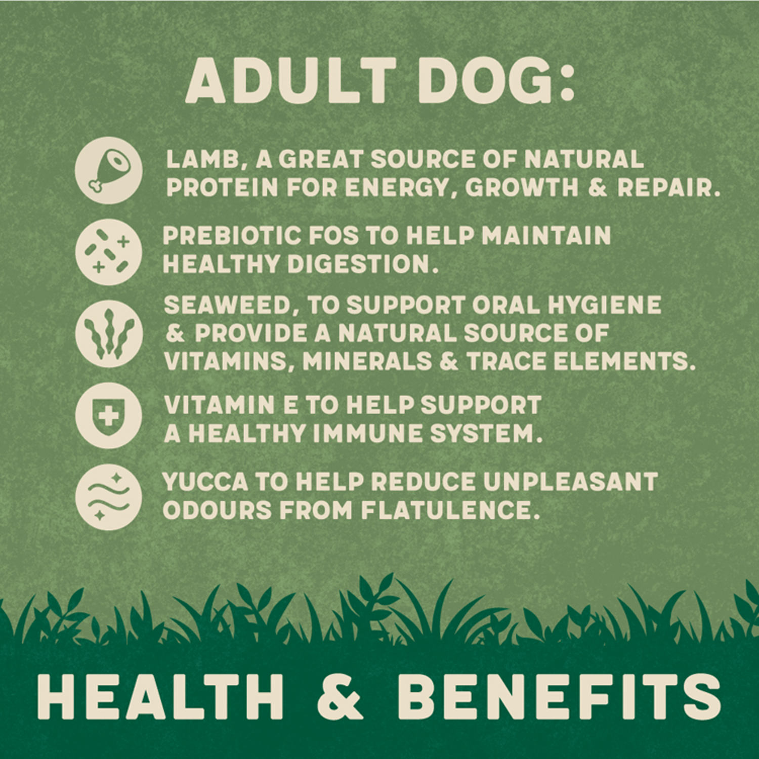 Harringtons Adult Rich in Lamb & Rice 1kg - UK Food & Drink - 5013919005849