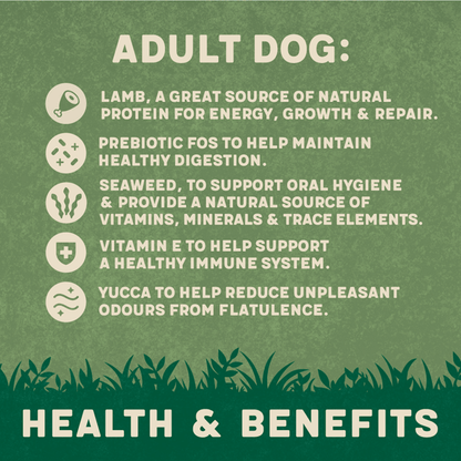 Harringtons Adult Rich in Lamb & Rice 1kg - UK Food & Drink - 5013919005849