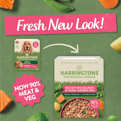 Harringtons Satisfying Salmon & Farm - Grown Veg for Adult Dogs 400g - UK Food & Drink - 5013919002084
