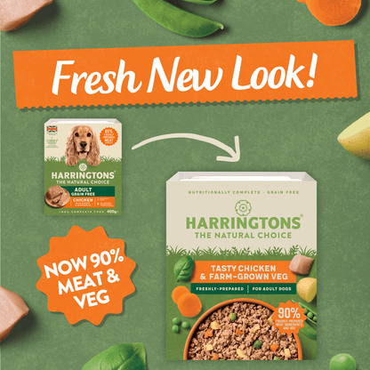 Harringtons Tasty Chicken & Farm - Grown Veg for Adult Dogs 400g - UK Food & Drink - 5013919002060