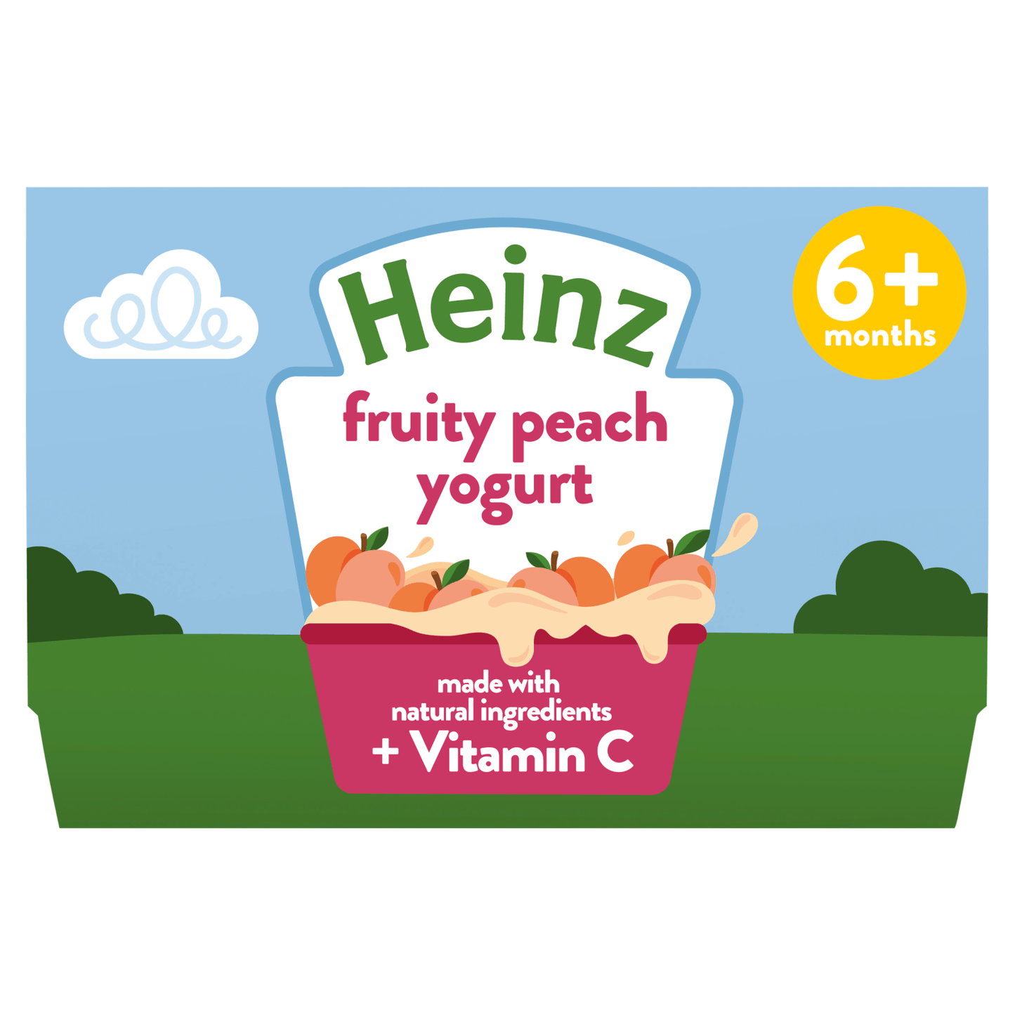 Heinz By Nature Fruity Medley Custard 6+ Months 4 x 100g - UK Food & Drink - 5000157140005