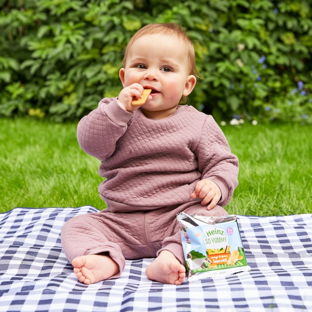 Heinz So Yummy Strawberry & Banana Biscotti 7+ Months 60g - UK Food & Drink - 5000157076786