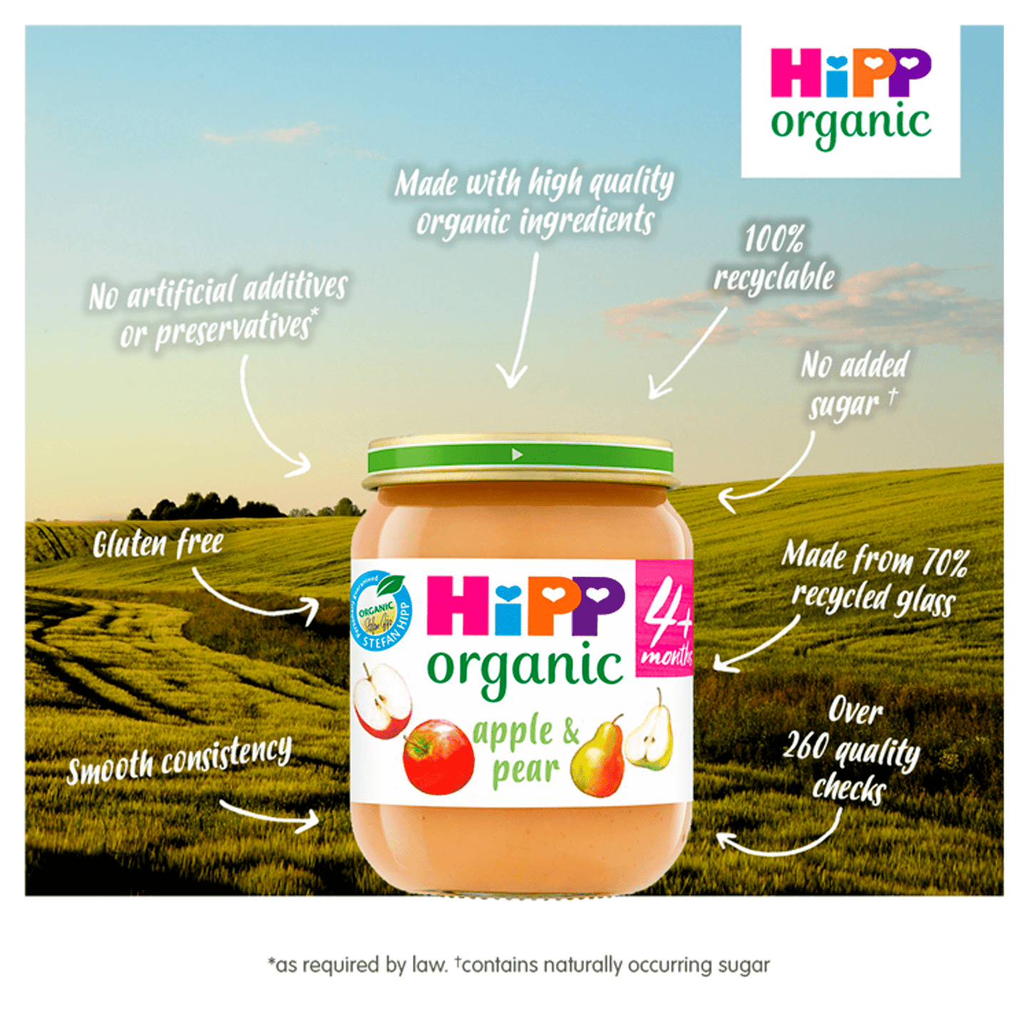 HiPP Organic Apple and Pear Baby Food Jar 4+ Months 125g - UK Food & Drink - 4062300270411