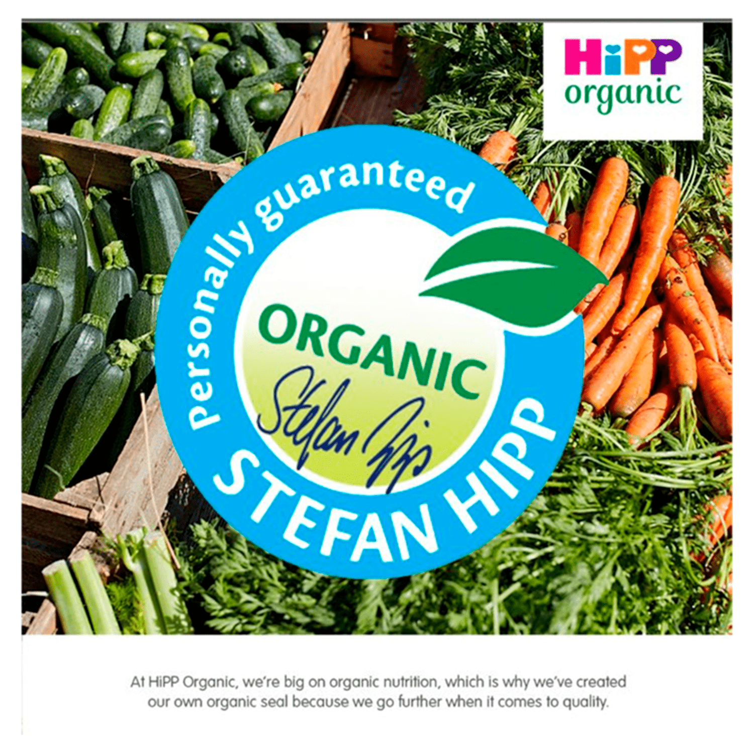 HiPP Organic Sweet Squash & Chicken Baby Food Jar 6+ Months 125g - UK Food & Drink - 4062300037731