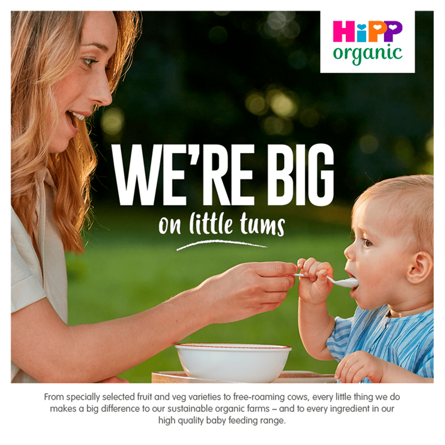 HiPP Organic Tasty Vegetable Risotto Baby Food Jar 6+ Months 125g - UK Food & Drink - 4062300162884