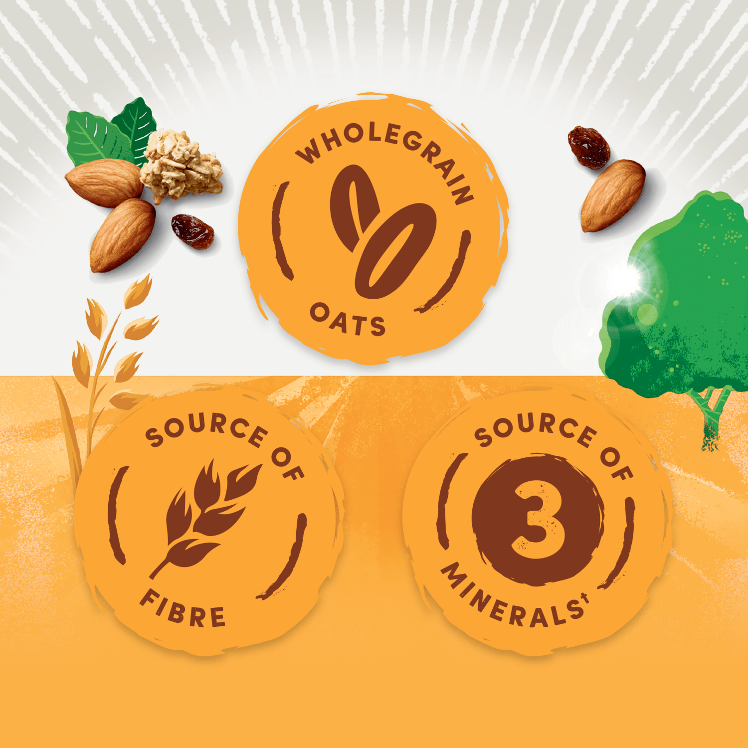 Jordans Raisin & Honey Crunchy Oat Granola 750g - UK Food & Drink - 5010477353115