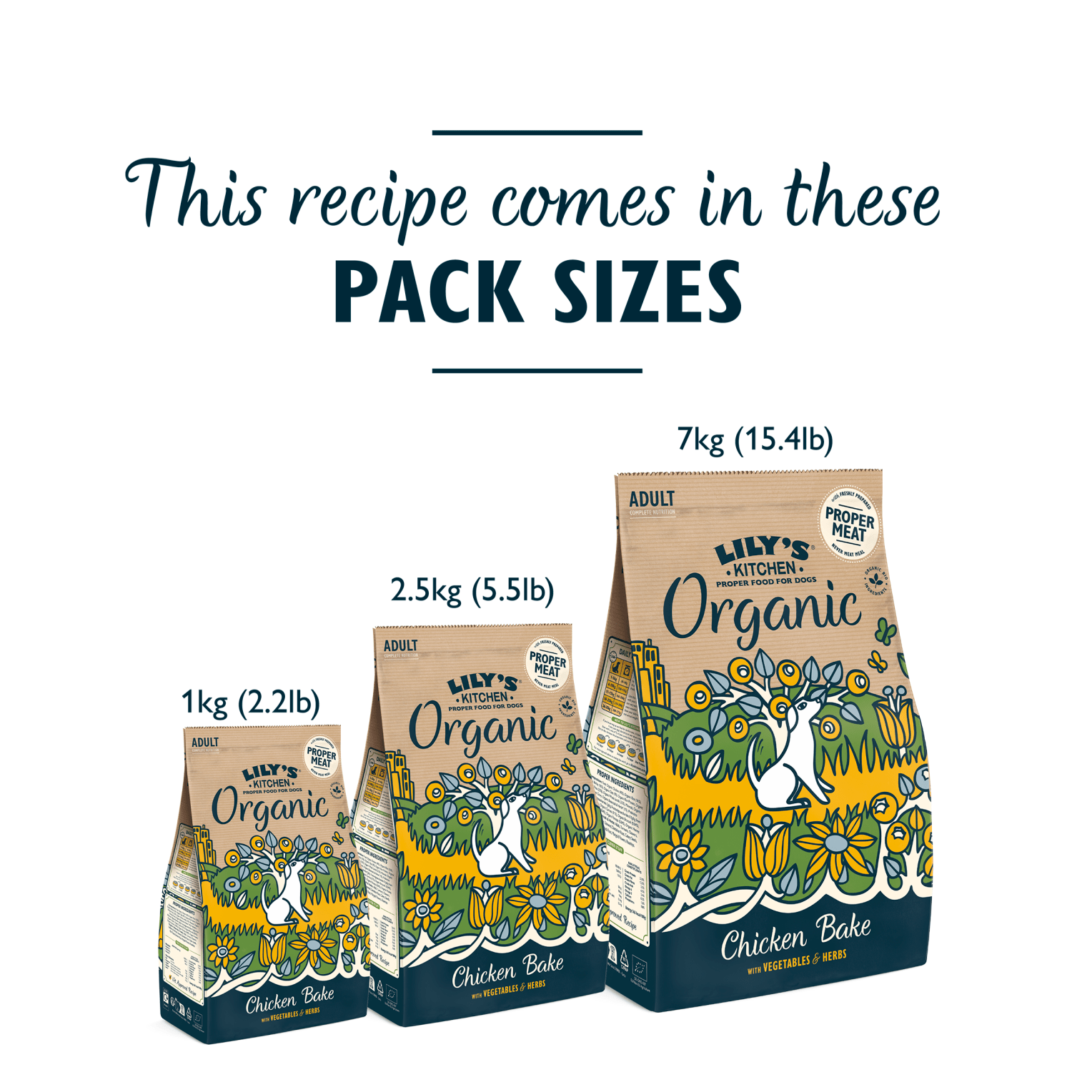 Lily's Kitchen Organic Chicken Bake Adult Complete Nutrition 1kg - UK Food & Drink - 5060184240079