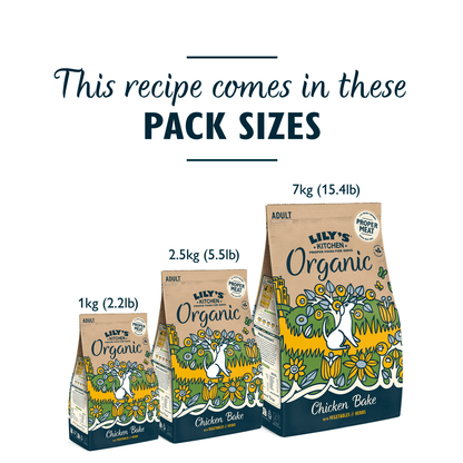 Lily's Kitchen Organic Chicken Bake Adult Complete Nutrition 1kg - UK Food & Drink - 5060184240079