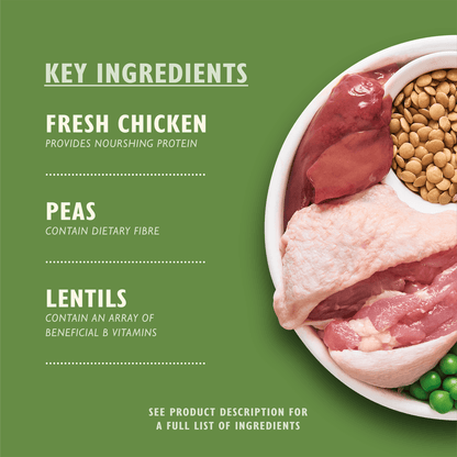 Lily's Kitchen Organic Chicken Bake Adult Complete Nutrition 1kg - UK Food & Drink - 5060184240079