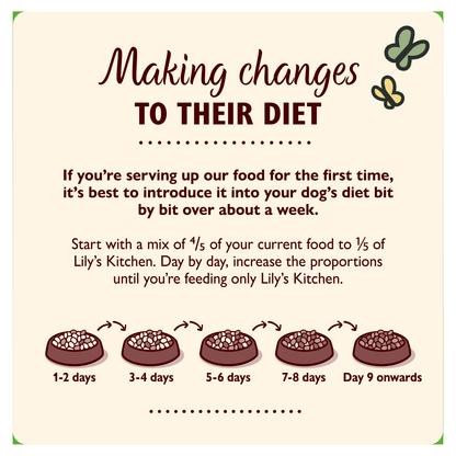 Lily's Kitchen Organic Chicken Supper with a Vegetable Medley 150g - UK Food & Drink - 5060184240031